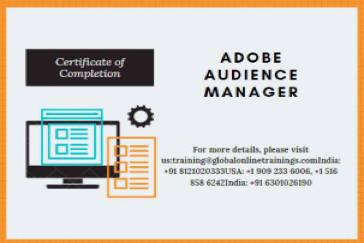 Adobe Audience Manager Training Best Audience Manager Online Course 4271211