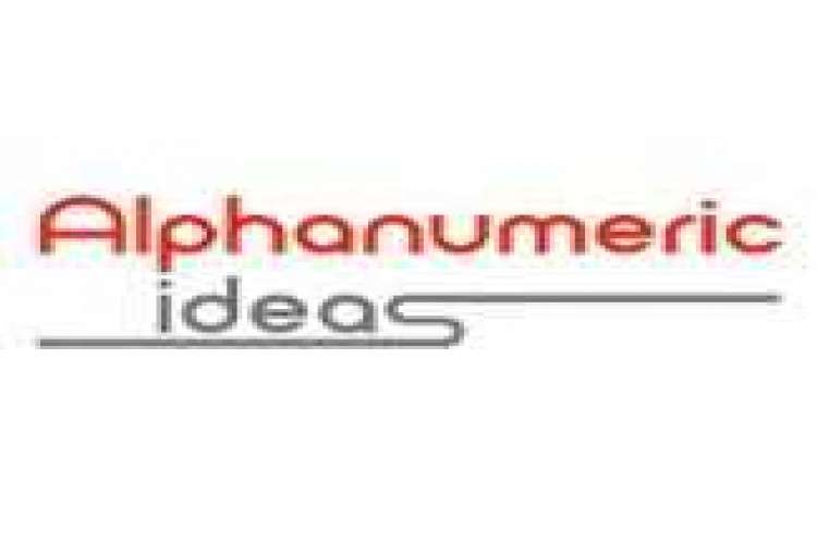 Alphanumeric Ideas Private Limited   Digital Marketing Agency 16297985435