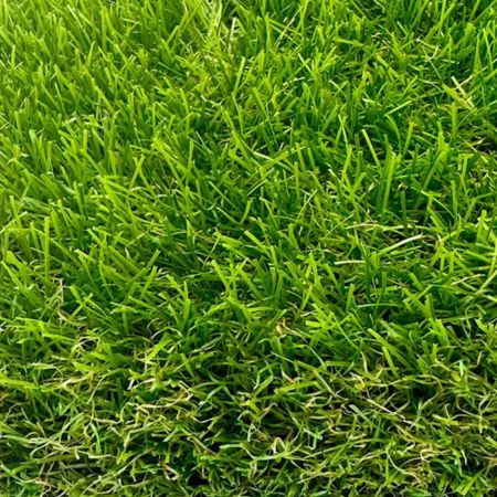 Artificial Grass Suppiler In Abu Dhabi 17357949298