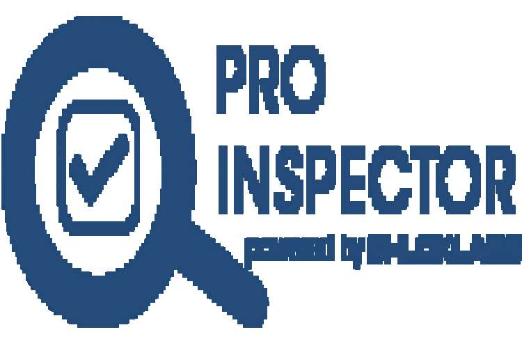 Audit And Inspection 2721502