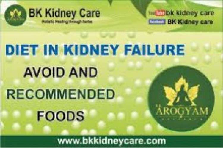 Best Ayurvedic Medicine For Kidney Disease Treatment By Bk Chaurasia 6493642