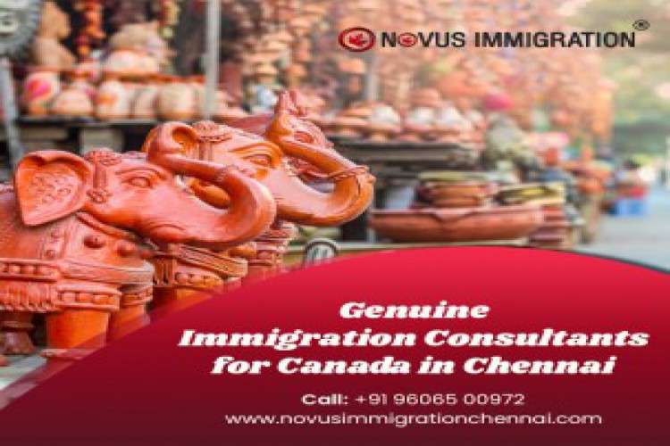 Best Immigration Consultants In Chennai Novusimmigrationchennai 2406302