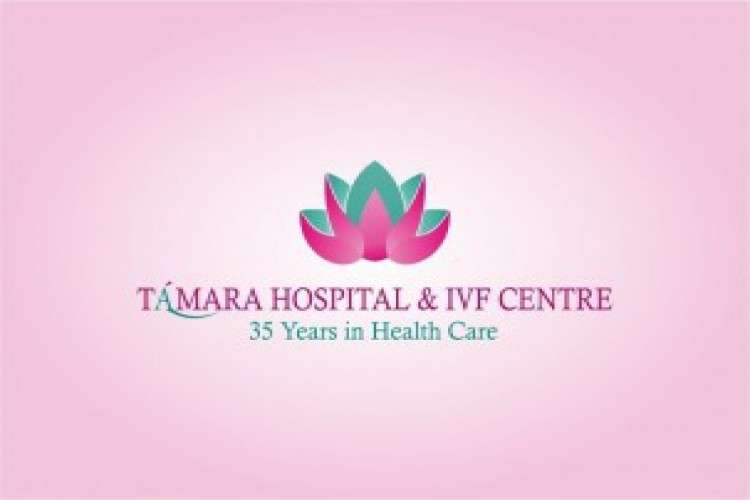 Best Ivf Centre In Bangalore Top Fertility Doctor 7059231