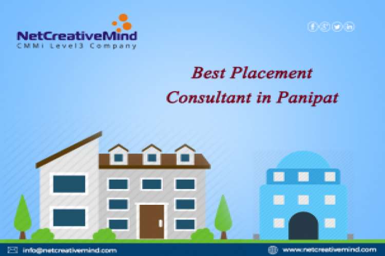 Best Placement Consultant In Panipat Staffing Consultant In Panipat 4884154