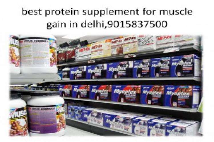 Best Protein Supplement Protein For Muscle Gain 5610715