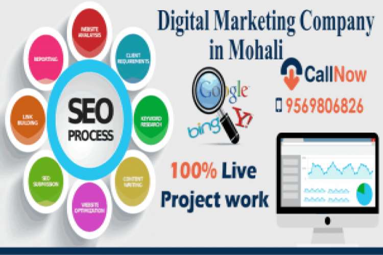 Best Seo Training In Mohali 3912607