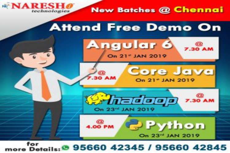 Best Software Training Institute In Chennai   Naresh It 2813597