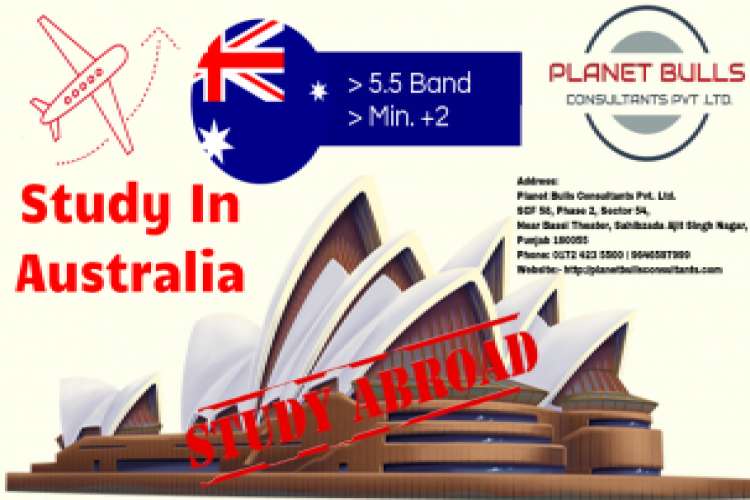 Best Study Visa Consultants In Chandigarh 3531000