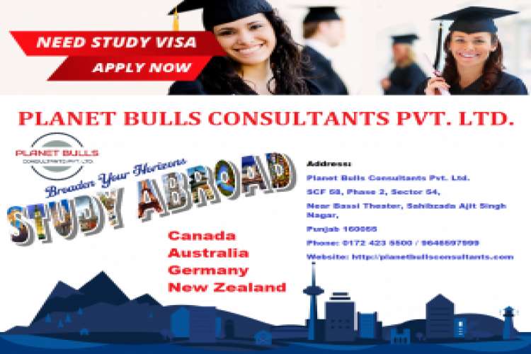 Best Visa Consultants In Mohali 8835213