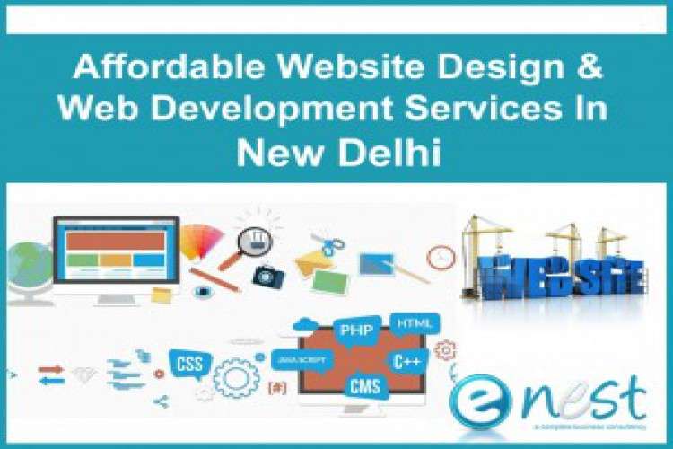 Best Website Design And Development Company In Delhi 6748370