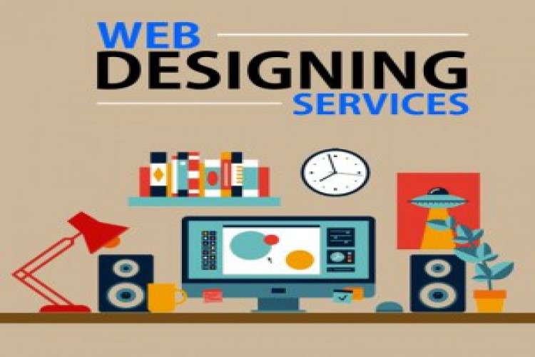 Best Website Design Company In Delhi 6215138