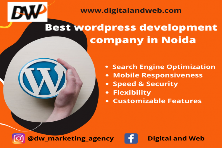 Best Wordprees Development Service In Noida 16444943611