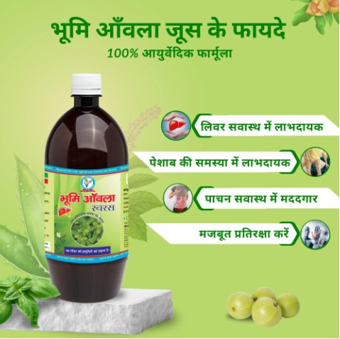 Bhumi Amla Juice Taste The Healthier Side Of Life 17376301128