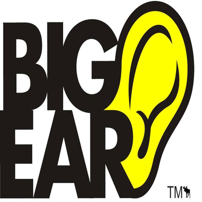 Big Ear Prosperity   Custom Hearing Protection 16788649778