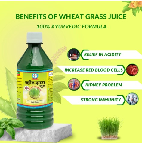 Boost Your Immnune System With Wheat Grass Juice 17340888946