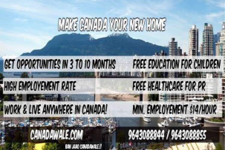 Canada Immigration Consultants 7155577