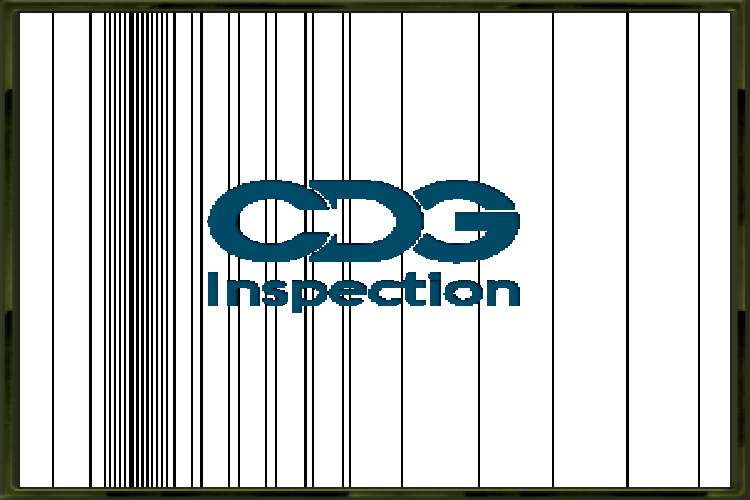 Cdg Inspection Limited 3428556