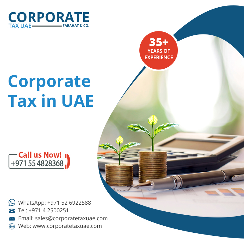 Corporate Tax Penalty 17368782267