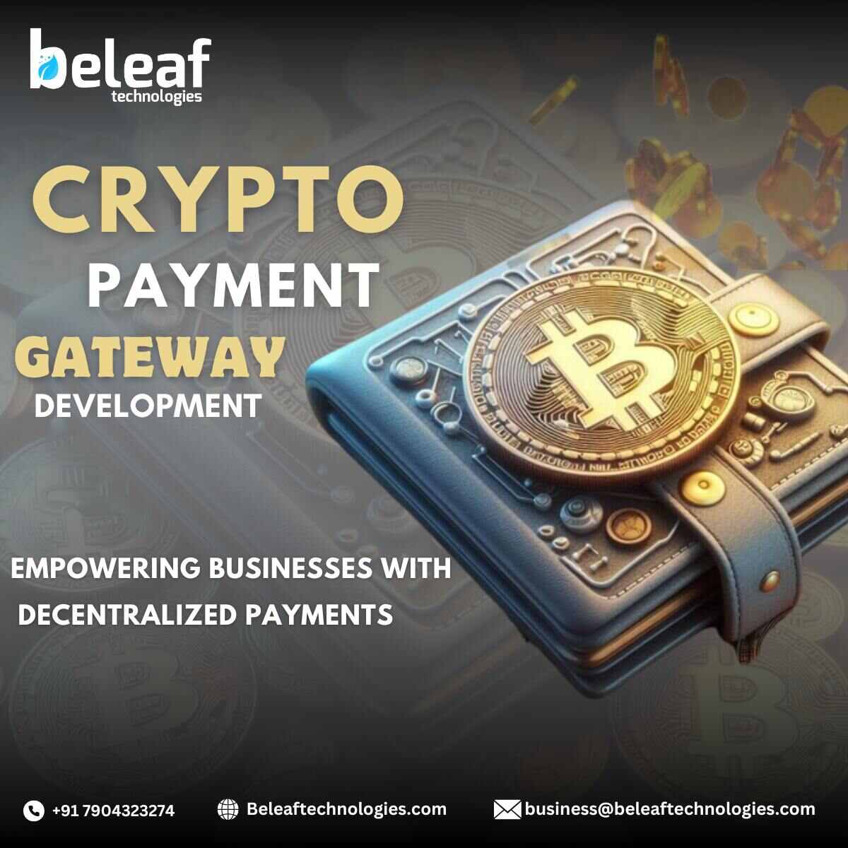 Crypto Payment Gateway Development Company 17292328059