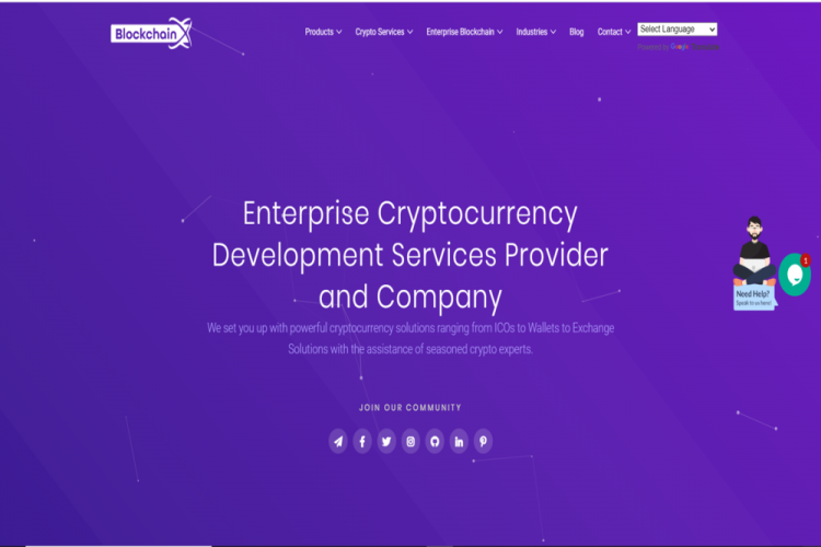 Cryptocurrency Development Company 16294524799