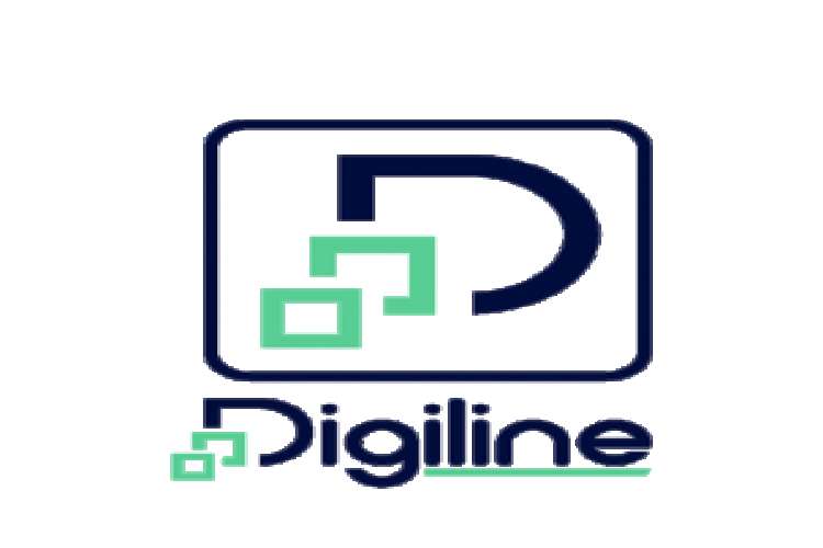 Digiline Digital Marketing Agency 400508