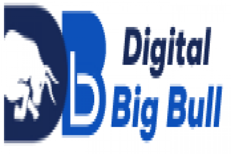 Digital Big Bull Agency 16348846629