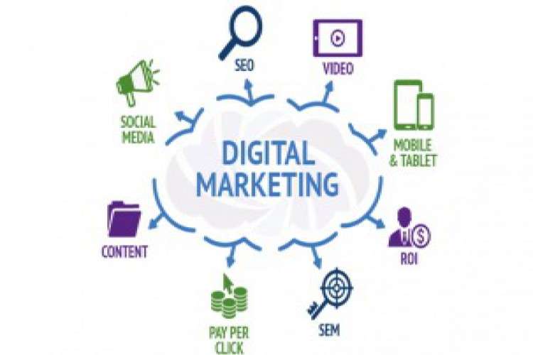 Digital Marketing Company In Delhi Ncr 272518