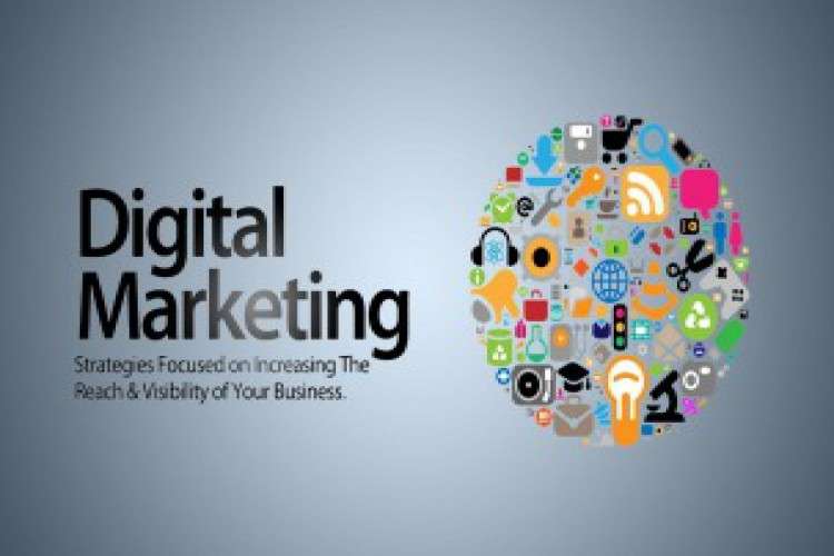 Digital Marketing Company Mohali 6064113