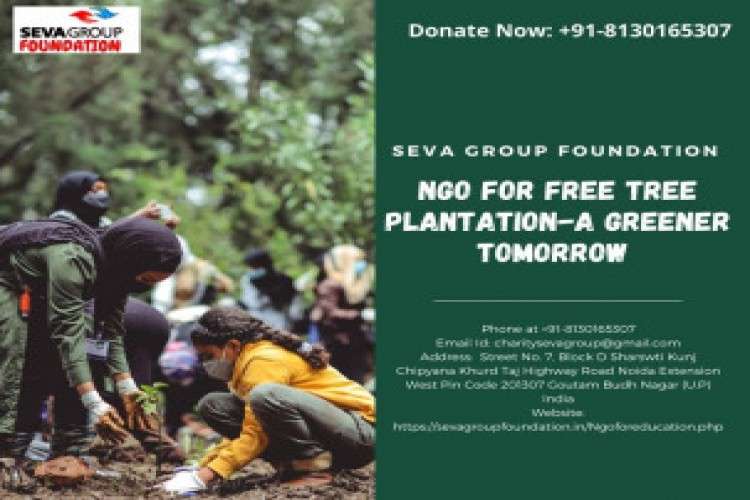 Donate And Volunteer To Fight Against Pollution 4667289