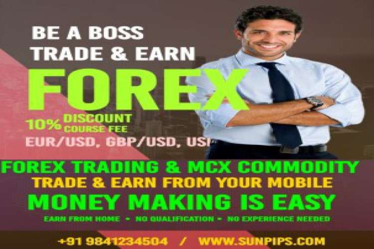 Earn Two Thousand To Ten Thousand Daily In Cross Forex Trading In Tam 4583824