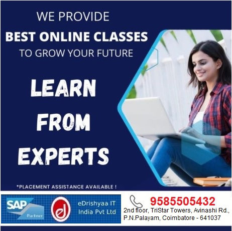 Edrishyaa It India Pvt Ltd Sap Authorized Academy 16893086042