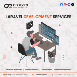 Expert Laravel Development Services 171057347410