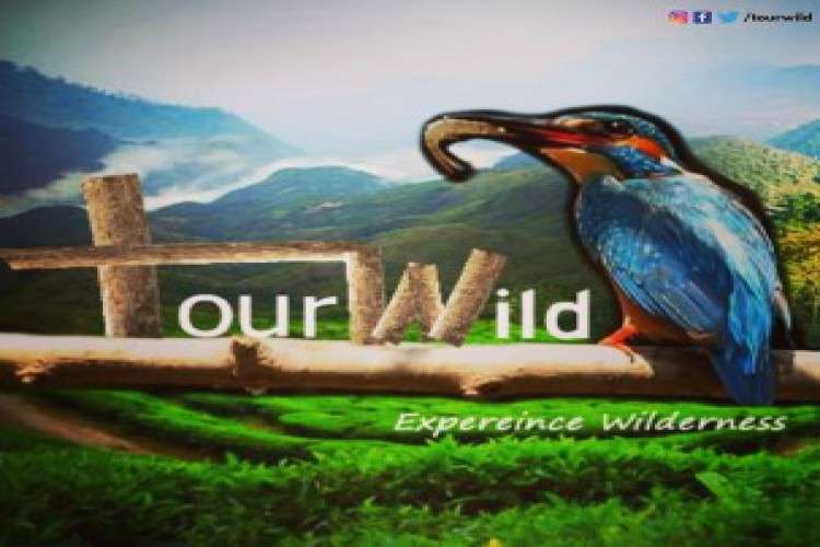 Family Tour Packages From Coimbatore 8857475