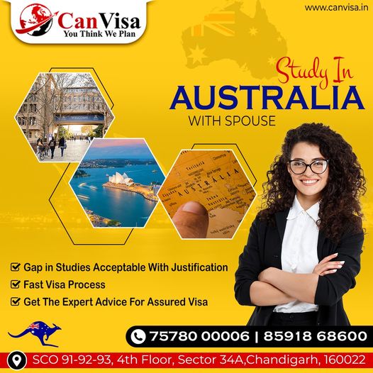 Fast Visa Consultants In Chandigarh 16783385255