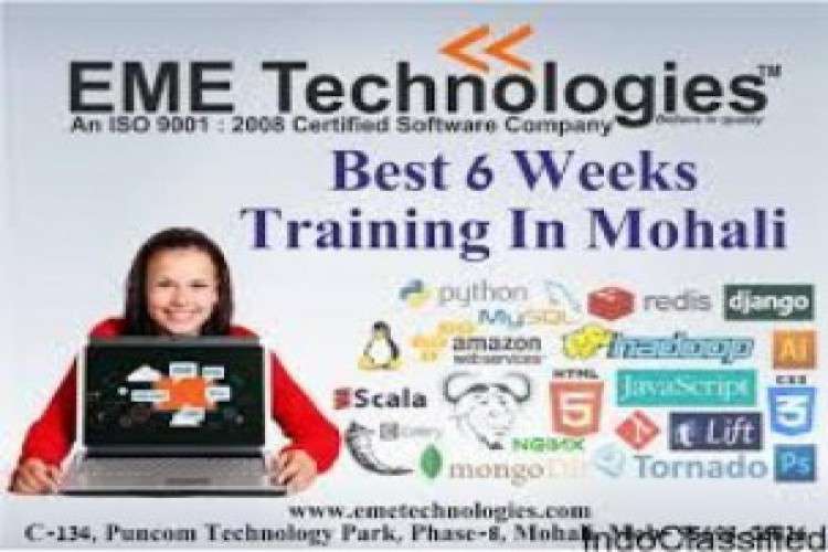 Free Industrial Training In Mohali 7947425