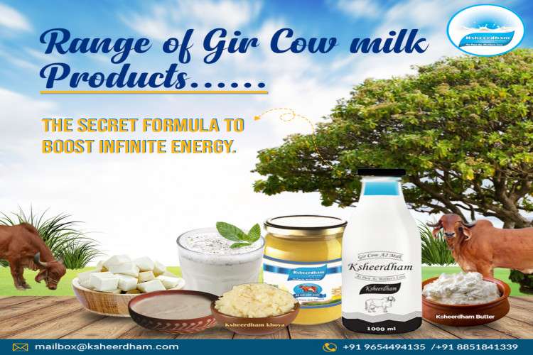 Fresh Cow Milk Delivery Near Me By Ksheerdham Dairy Products 16446668274