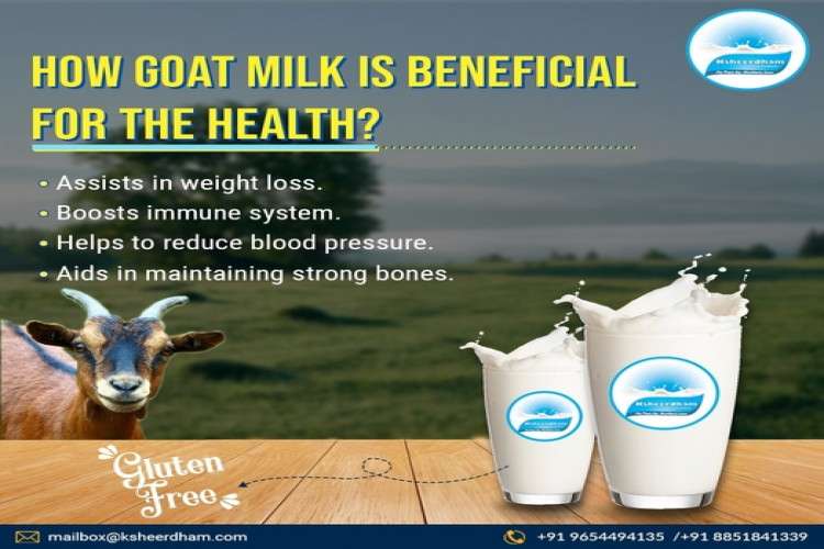 Fresh Cow Milk Delivery Near Me By Ksheerdham Dairy Products 16446668288