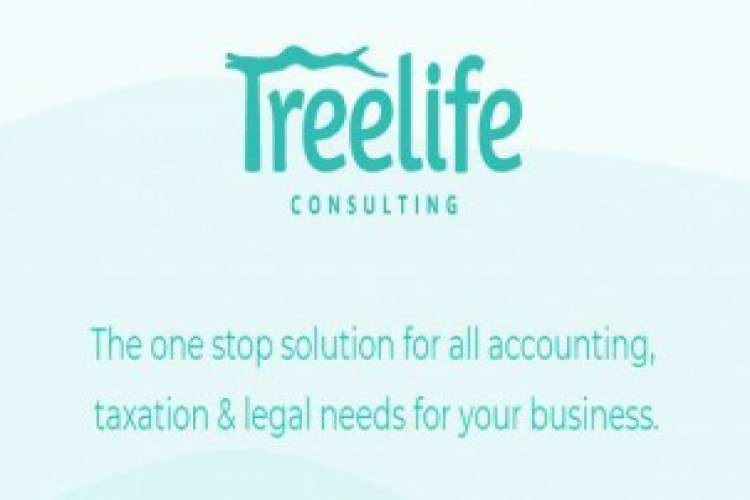 Funding Compliance Lawyer For Startups In India   Treelife Consulting 4394390