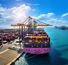 Get Customs Clearance Services By Olc Shipping Line In India 17275264708