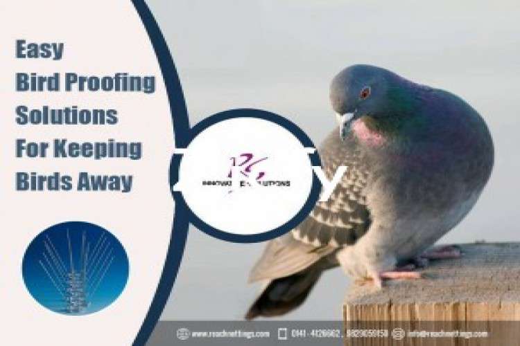 Get The Best Bird Proofing Solutions Bird Netting Suppliers 8411264