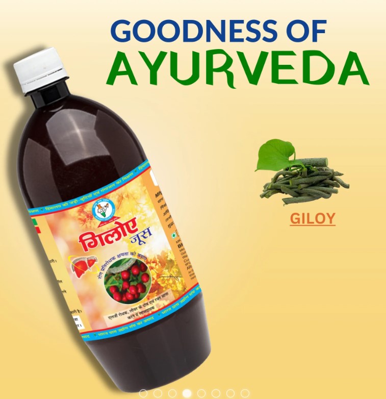 Giloy Juice The Ayurvedic Juice Helps To Easing Allergy 17408157136