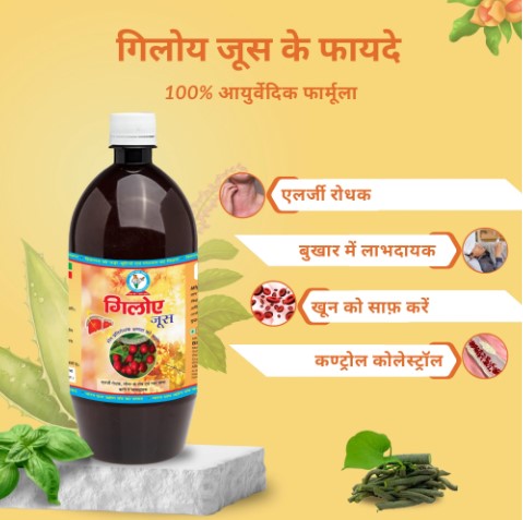 Giloy Juice The Ayurvedic Juice Helps To Easing Allergy 17408157139