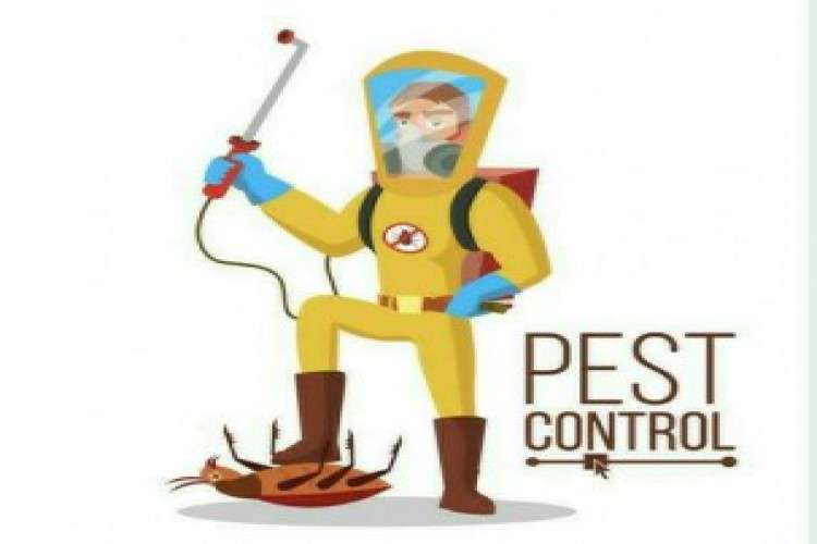 Go Pest Control Services 5759755