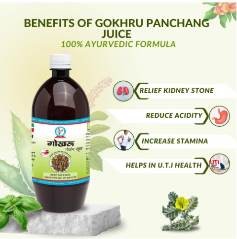 Gokhru Nature Answer To Kidney Problems And Urinary Concerns 17406512444