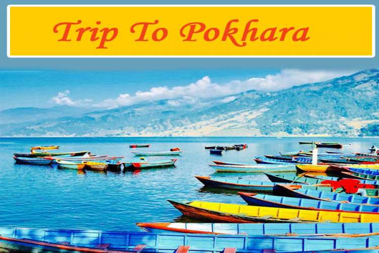 Gorakhpur To Nepal Taxi Service Provider All India Tour And Taxi 16415757527