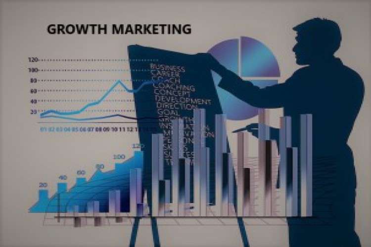 Growth Marketing Agency In Chandigarh India 8425676