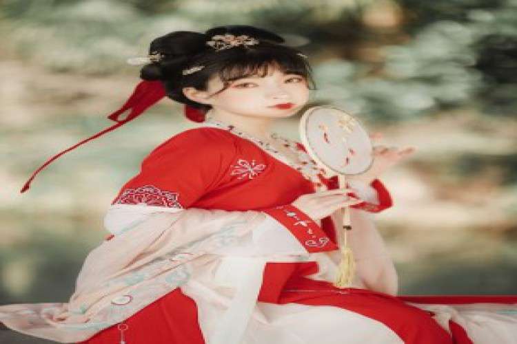 Hanfu Dress Fashion Design 8692685