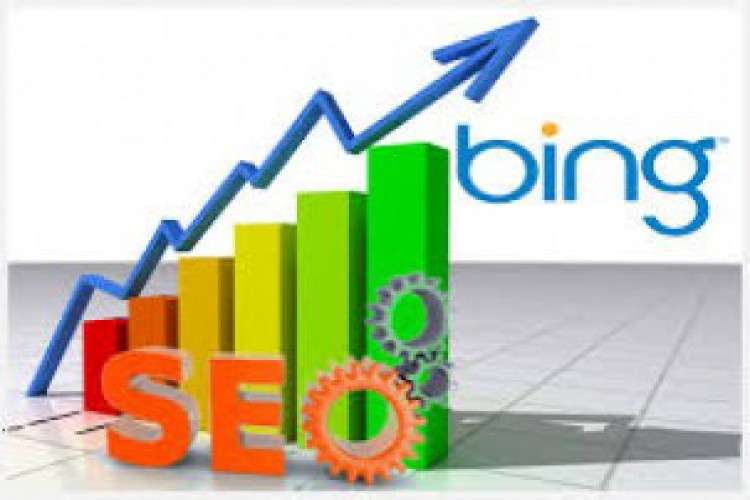 Hire Bing Seo Company India   Seo Specialist 6483150