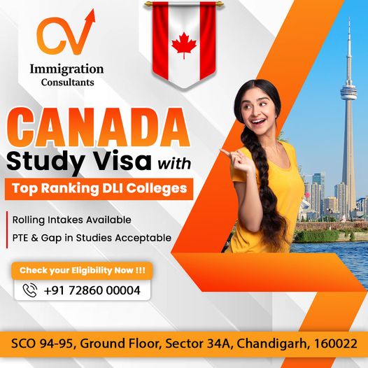 Immigration Consultant In Chandigarh For Uk Visa 16783484853