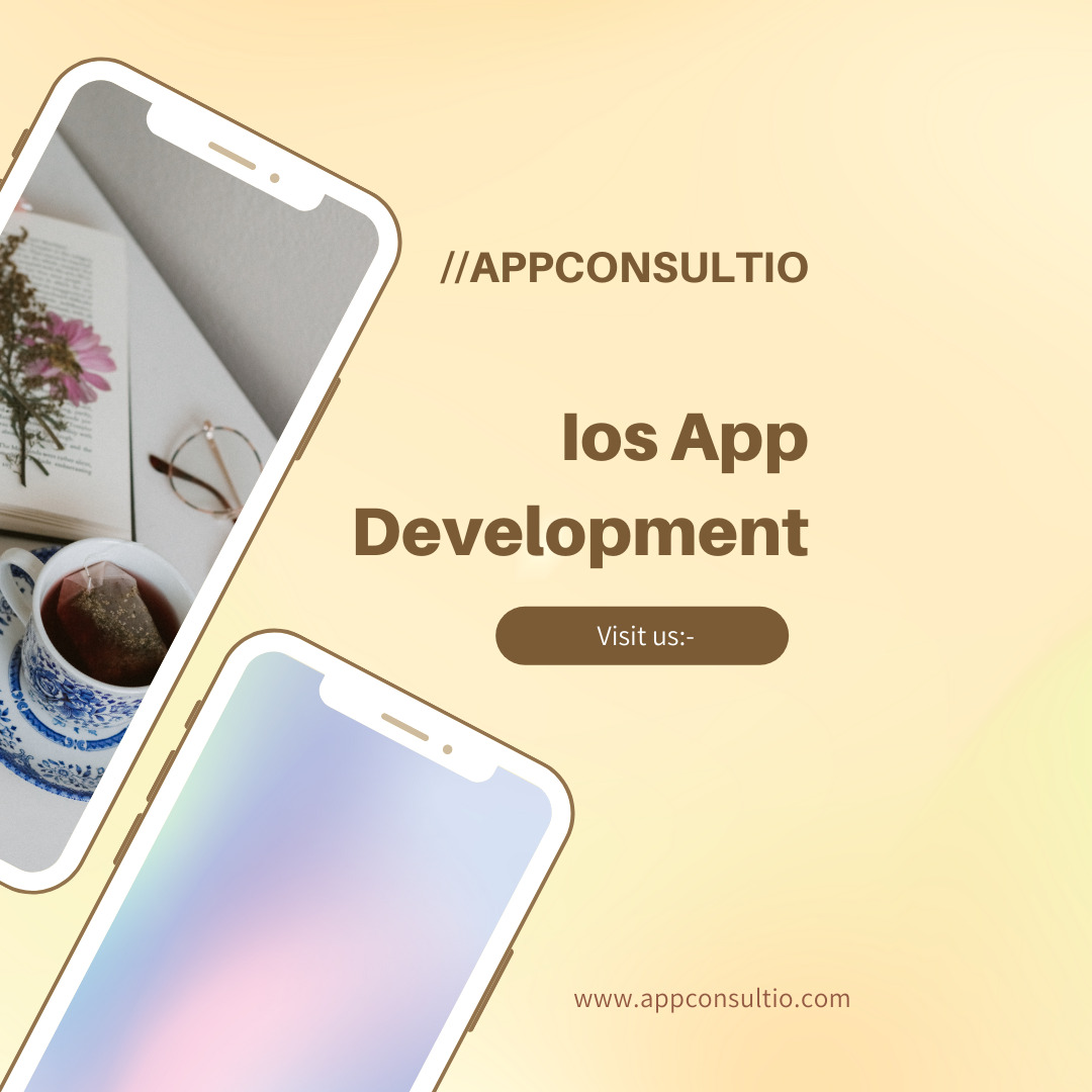 Ios App Development Company 16899962614